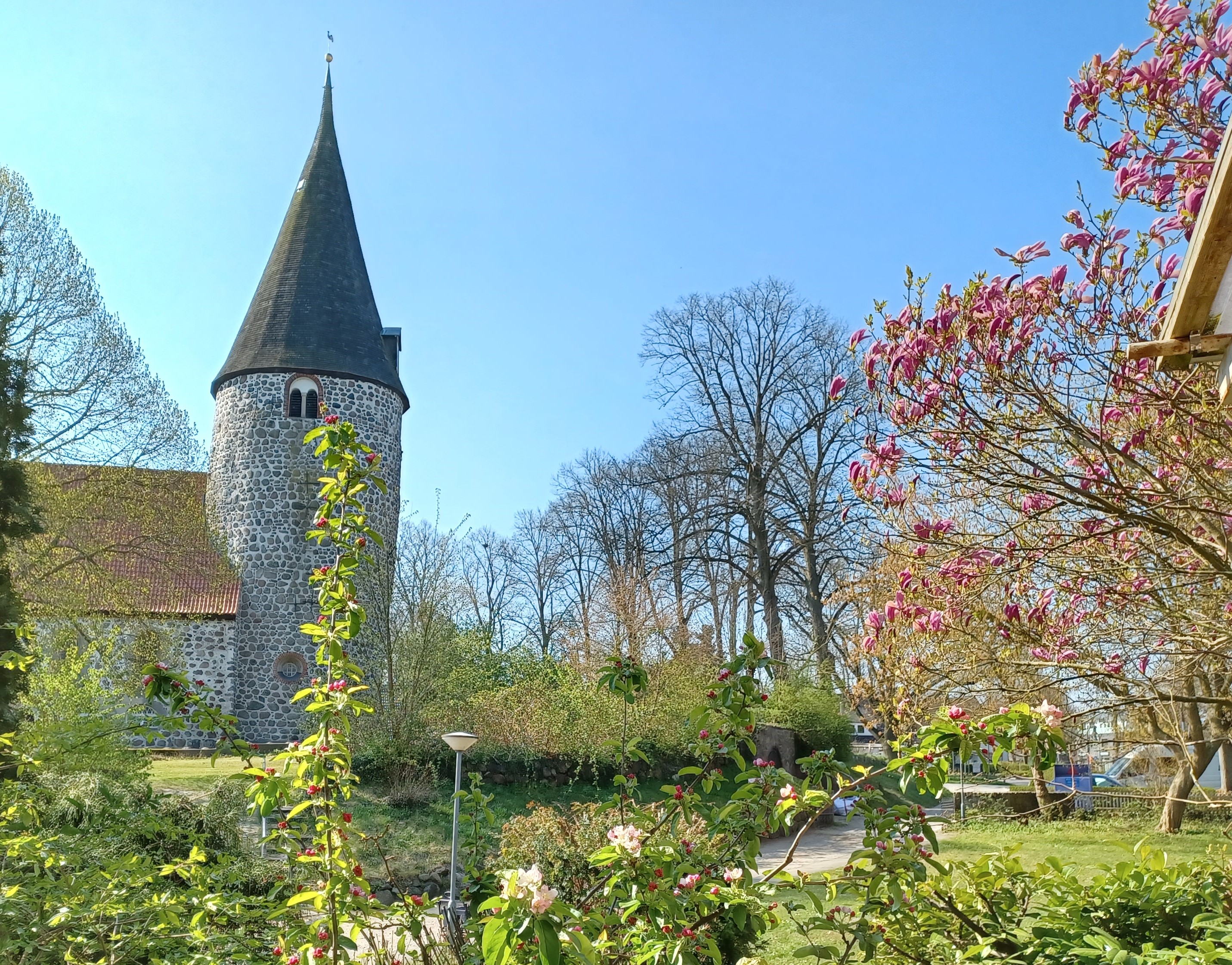 Pastoratswiese im Frühling